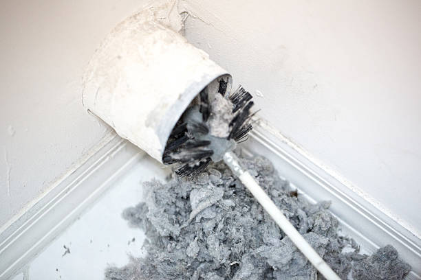 Best HVAC System Cleaning  in New Haven, IN